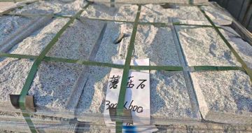 新余芝麻白蘑菇石，自然面